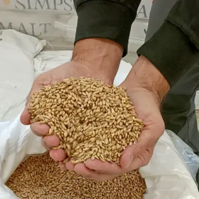 Visita del birrificio io copia